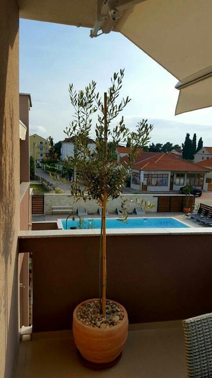Antonija Apartments With Pool บีโอกราดนาโมรู ภายนอก รูปภาพ